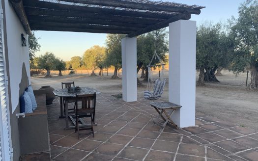 Location : Alentejo – Evora – Villa En Amoureux dans un cadre nature exceptionnel avec Piscine!