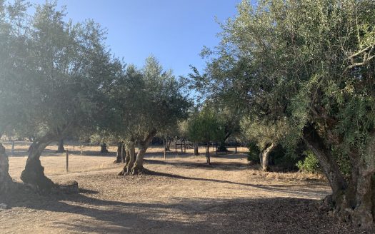 Location : Alentejo – Evora – Villa En Amoureux dans un cadre nature exceptionnel avec Piscine!